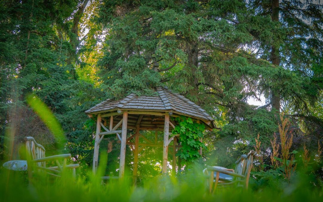 altana - mieszanka 0-4 Lublin